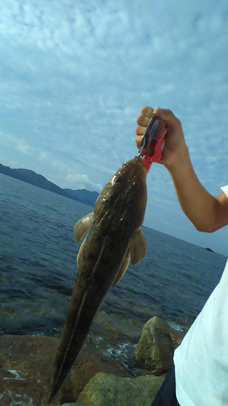 ライトショアジギ