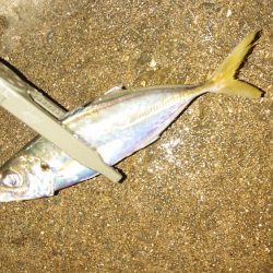 ラインメンディング