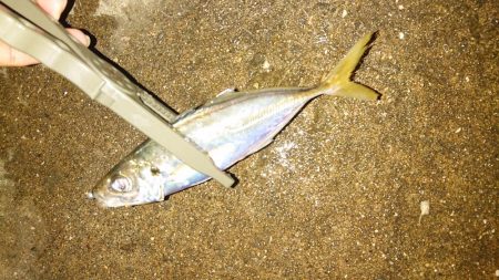 ラインメンディング