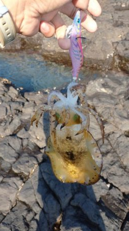 エキング大会にて