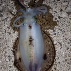 エキングパーティー参加