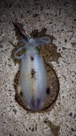 エキングパーティー参加