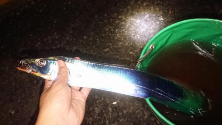 だんだん渋くなって来ました