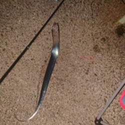 タチウオ釣れたけど