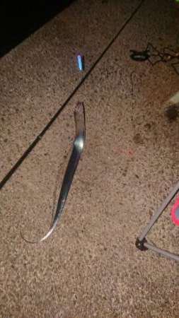 タチウオ釣れたけど