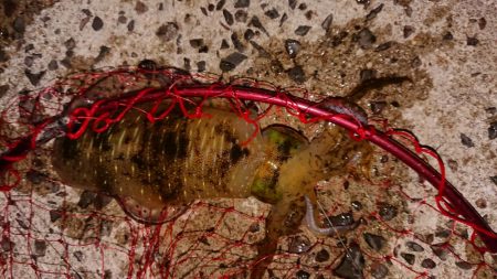 爆風ヤエンで５杯