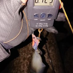 でました今季最高