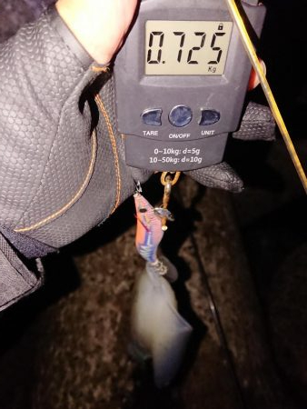 でました今季最高