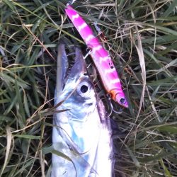 またしても大型熱帯低気圧が近づいています