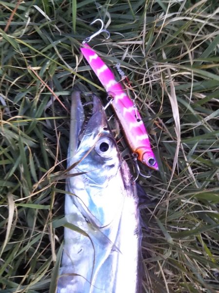 またしても大型熱帯低気圧が近づいています