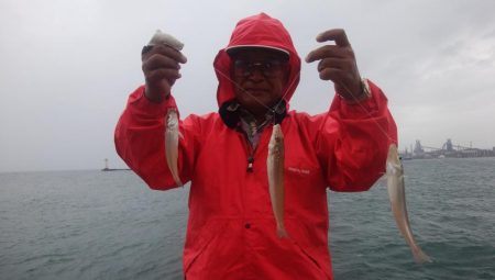 暴風雨の播磨新島でキス爆釣