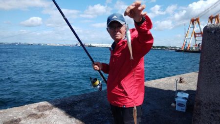 昨日より西風強い播磨新島釣行