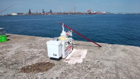 時合い短い播磨新島釣行