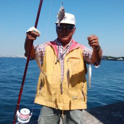 台風接近前の播磨新島釣行