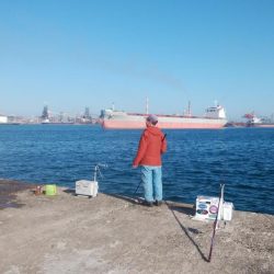 好釣果続く播磨新島釣行