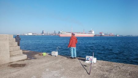 好釣果続く播磨新島釣行