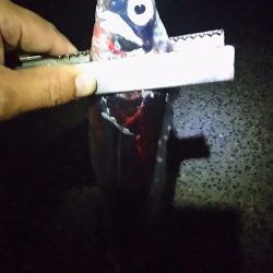 和歌山帰りに寄り道