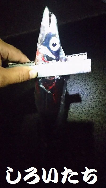 和歌山帰りに寄り道