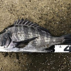 イチノ兄弟、釣果！