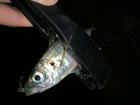 アーバンサイドアジング