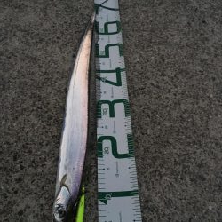 ナイスフィッシュ！