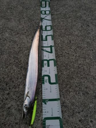 ナイスフィッシュ！