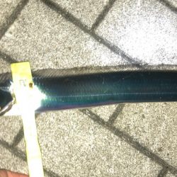 無風のシーサイドコスモ