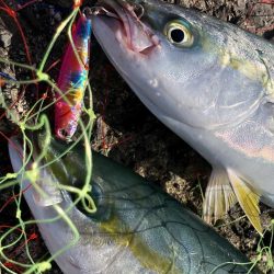 ショアジギング