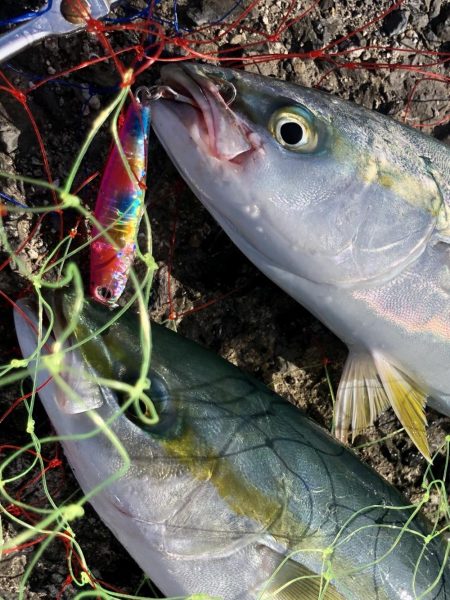 ショアジギング