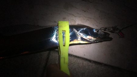 土曜のシーサイドコスモ