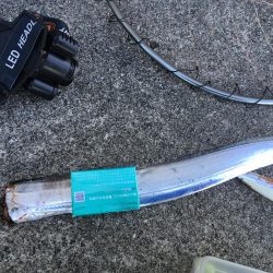 一投目!価値あるタッチー