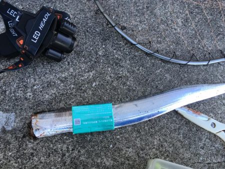 一投目!価値あるタッチー