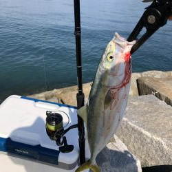 ライトショアジギング