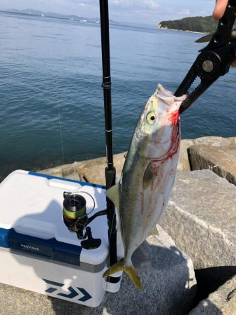 ライトショアジギング