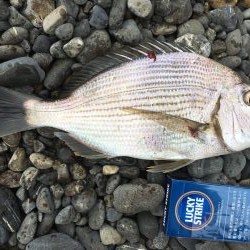 久しぶりのサーフ