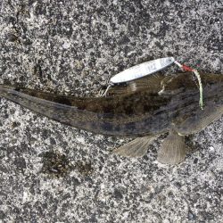 ダイソージグで・・・