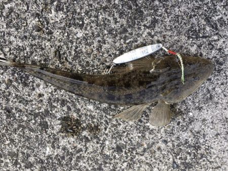 ダイソージグで・・・