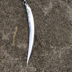 ツバスかなり減ってます