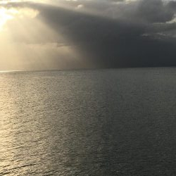 サゴシ祭りだ!わっしょいわっしょい!