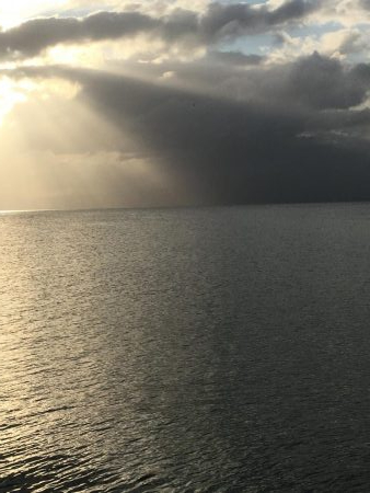 サゴシ祭りだ!わっしょいわっしょい!