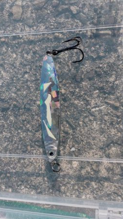 ジグに好反応なタッチー