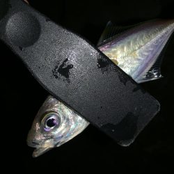 アーバンサイドアジング