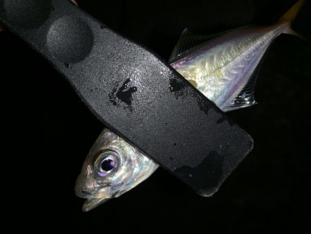 アーバンサイドアジング