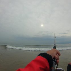 津　白塚漁港周辺　サーフフィッシング　　