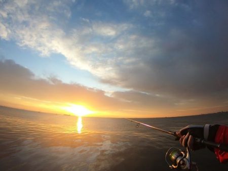 四日市 霞一文字提 ツバス