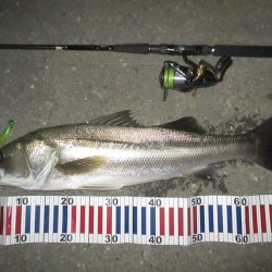 台風前のシーバス釣行