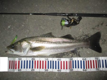 台風前のシーバス釣行