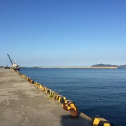 やっぱソルパラ