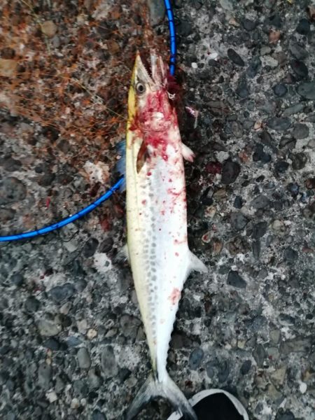 台風前のショアジギング