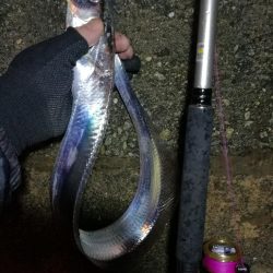 南港釣行 （10/13 南港タチウオ釣り 今季初　タチウオ釣果有り）